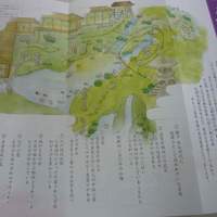 がんこ 高瀬川二条苑 - 日本庭園がきれいです。写真でなくて、すみません。
