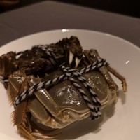 ミモザ - 