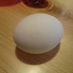 ゆでたまご＠2011/05/08