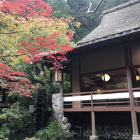 うかい鳥山 - 