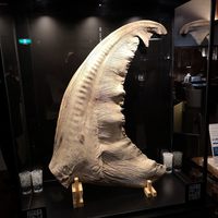 神仙閣 神戸店 - 