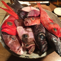 魚匠 銀平 道頓堀店 - 
