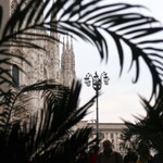 Camparino in Galleria - 昔から鳩が集まる広場