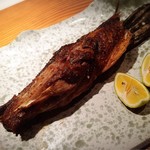 魚河岸 宮武 - 本まぐろカマトロステーキପ(⑅ˊᵕˋ⑅)ଓ