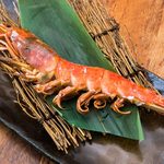 魚撃 - 