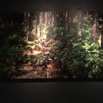 BEES BAR by NARISAWA - 