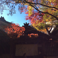 千寿閣 - 