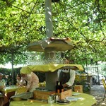 Antica Trattoria del Gallo - 