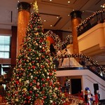 ウエスティンのクリスマスツリー（後ろでは結婚披露宴をやった人が撮影していたようです）