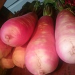 波浮港 - 小金井産江戸東京野菜