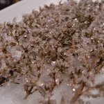 カハラ - タイムに塩の結晶