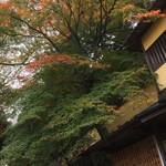 Shukugetsu - 木々が紅葉を始めている
      今年になってから色々な所に行ったけど中でも独特で良い感じに思える
