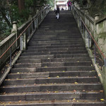 Shukugetsu - 心臓やぶりの階段
      鼻歌まじりで登ってやりました
      本当は筋肉痛です(；ω；)
      ココを登るとお守りが買える
      