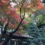 Gyokusentei - 玉泉園庭園