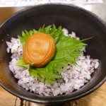 つねちゃん - しそめし