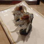 名代 駒寿司 - 生しらす軍艦