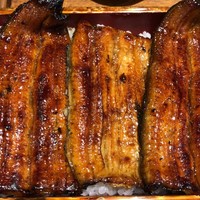 鰻 若松 - 