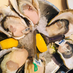 Oyster Bar ジャックポット - 