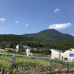 青木屋 - おまけ…万葉集で西の富士、東の筑波と詠まれた筑波山