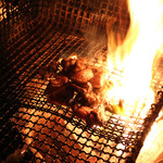 Yakitori Megumiya Purasu Kano Yanishi Haraten - 