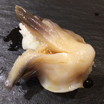 晶 - 7貫目 トリ貝