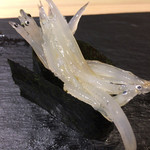 晶 - 10貫目 白魚の軍艦 霞ヶ浦産