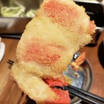 Kushikatsu Dengana - 