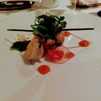 THE KOBECRUISE コンチェルト - 