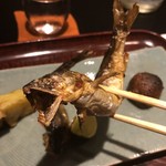 日本料理 晴山 - 