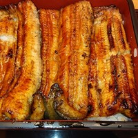 赤坂ふきぬき - 