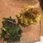 鶏割烹 ならやはなれ - 