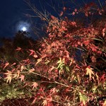 Hiiragiya - 平等院参道の紅葉と 月