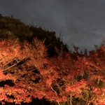 Hiiragiya - 平等院参道の燃えるような紅葉