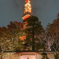 東京 芝 とうふ屋うかい - 