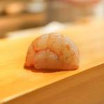 鮨 あらい - ボタン海老