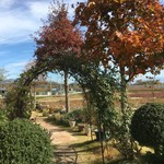 キュイエット - 