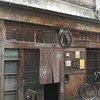 こぐま こぐま