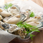 Compare today's raw Oyster from carefully selected production areas (3 types)