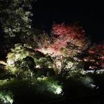 モスバーガー - 