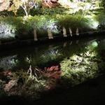 モスバーガー - 