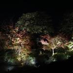 モスバーガー - 