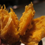 #101 - 安納芋 100%のスイートポテト