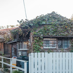 カフェ 坂の下 - 建物の裏