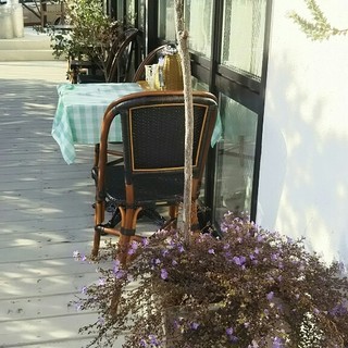 ハナミズキ カフェ_2