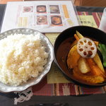 北海道スープカリー専門店 マナ - チキンと野菜カリー