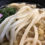 Chikugo Udon Tokubee Udon - こんな麺です