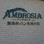 AMBROSIA - 