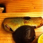 赤坂 菊乃井 - 焼き物