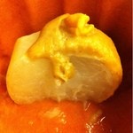 赤坂 菊乃井 - カブのふろふき、断面。