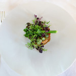 マダム・トキ - 